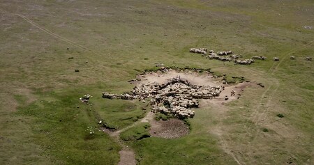 Gora se ne bo premaknila (3)